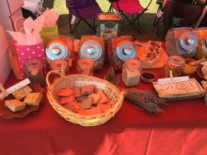 13268143_595627557266285_8501421117106366325_o