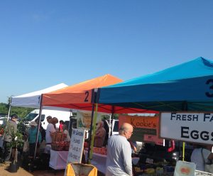 13305153_1089416534451434_5378283020325664916_o