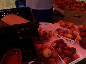 13320621_595627257266315_4127533451906064153_o